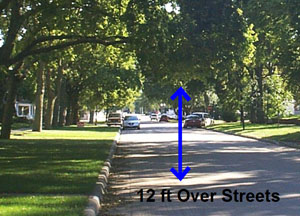 special_topics_street_trees